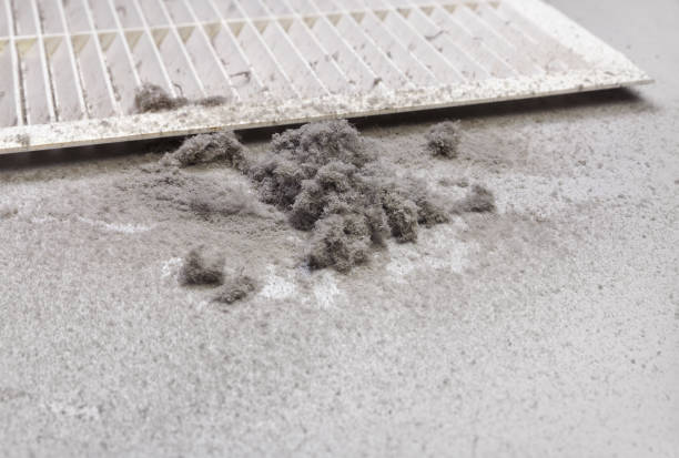 Best Local Air Duct Cleaning Services  in Eudora, AR
